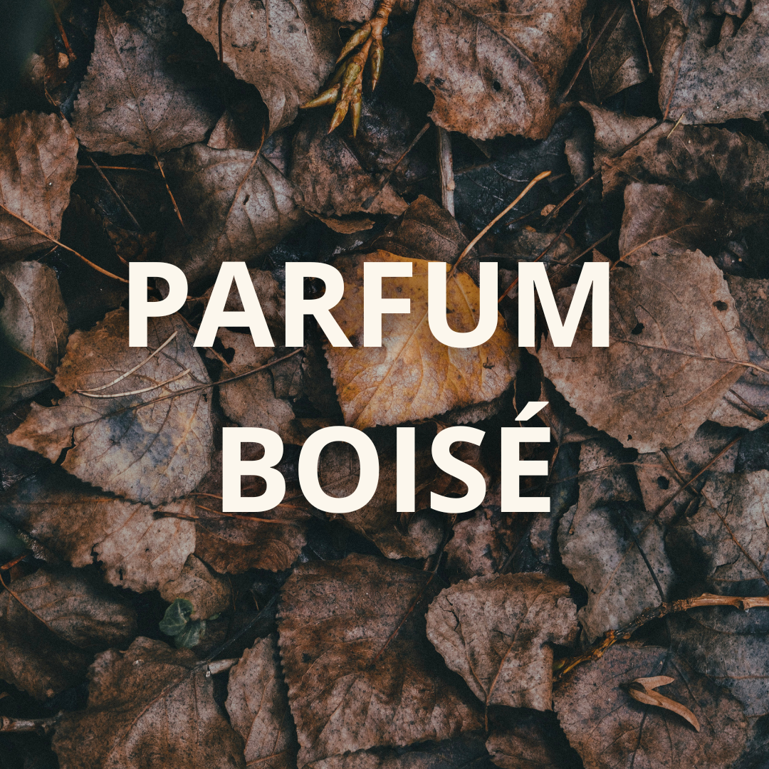 Huile à barbe (Boisé)